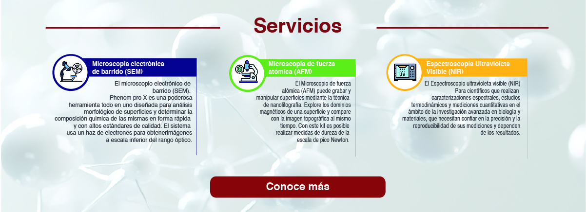 Servicios